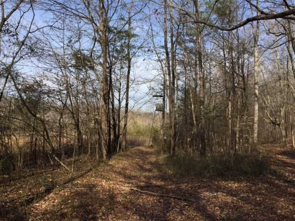 Land for sale at 690 Sherry Road