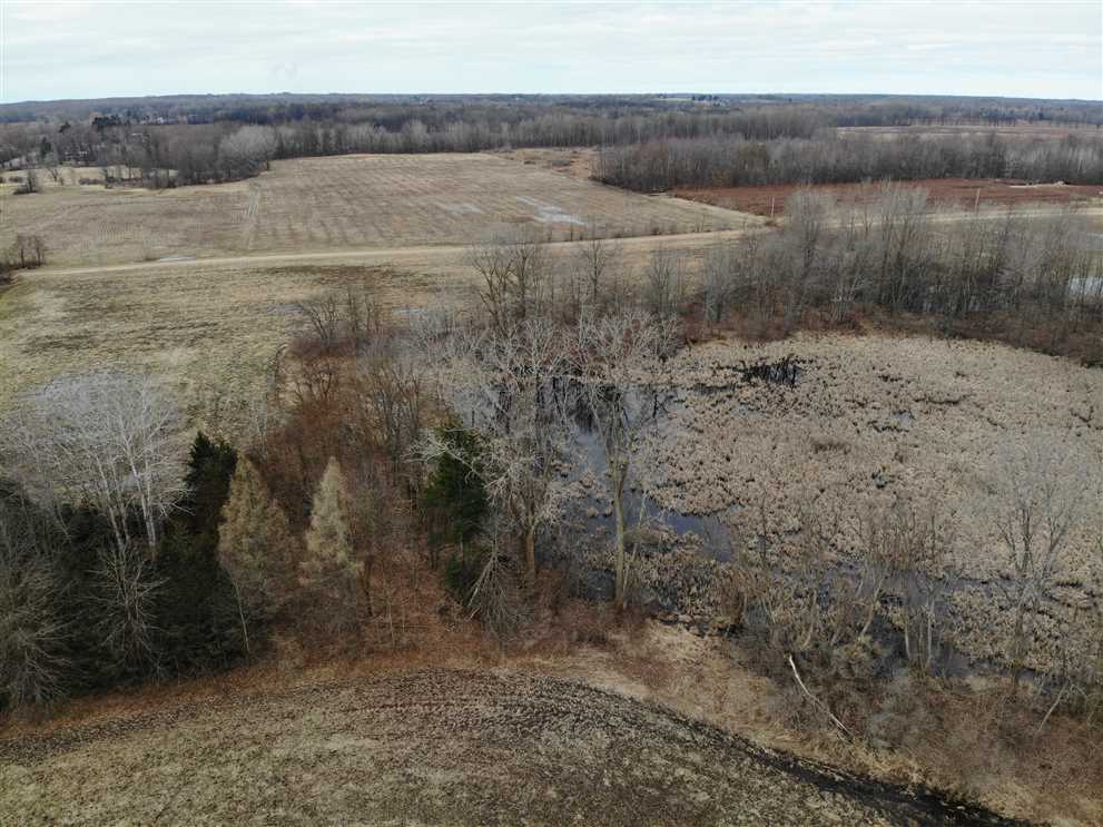 39.4 Acres Hunting Land with Tillable for sale 27821 48th St. Bangor, MI. Real estate listing