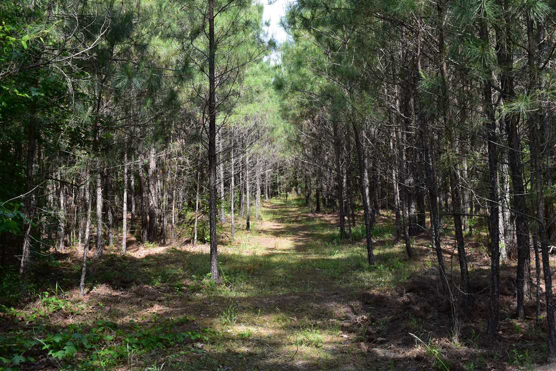 Property for sale at Hwy 76