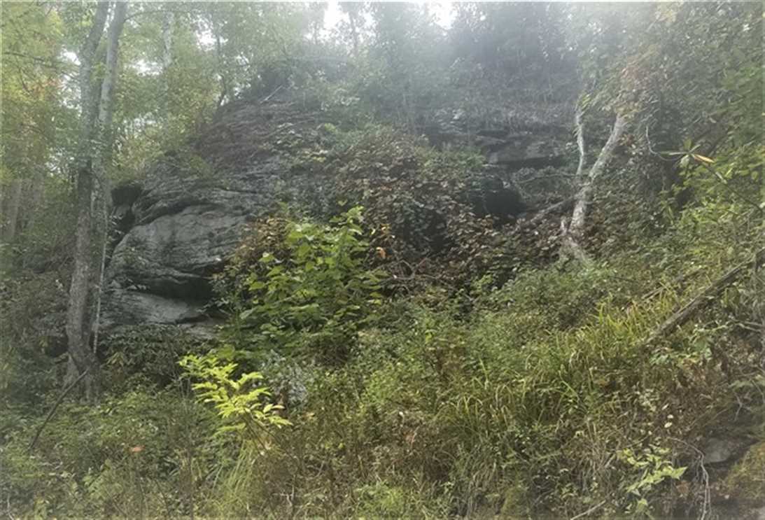 Land for sale to buy in 28789 zip code
