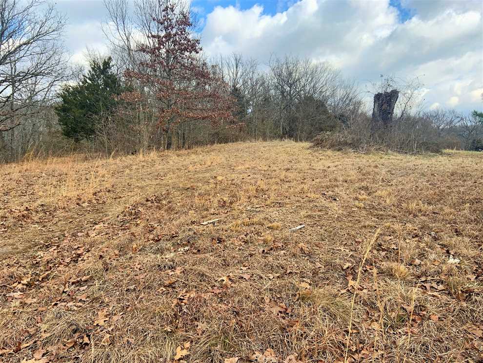 Elkins 17 Real estate listing