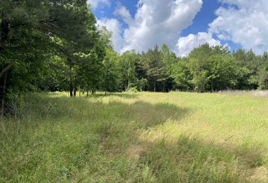 360 Acres of Land for Sale in henderson County Tennessee