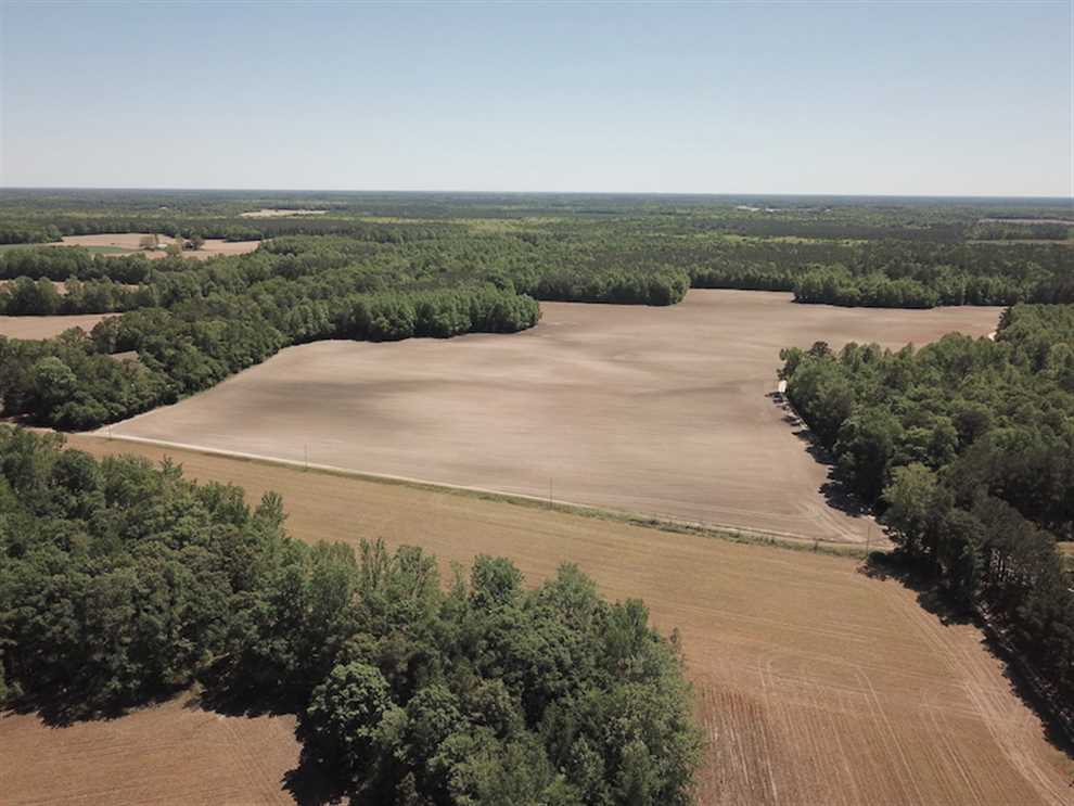 Residential and   property for sale on The Land Market