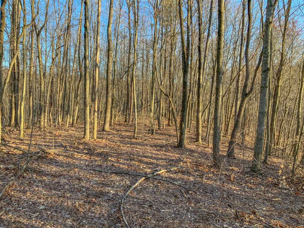 Old Sowers Rd - 49 acres - Vinton County Real estate listing