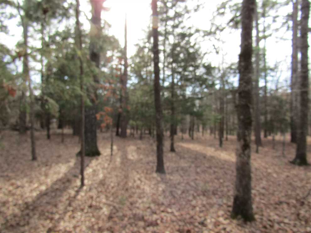 35 Acres of Recreational land for sale in Antlers, pushmataha County, Oklahoma