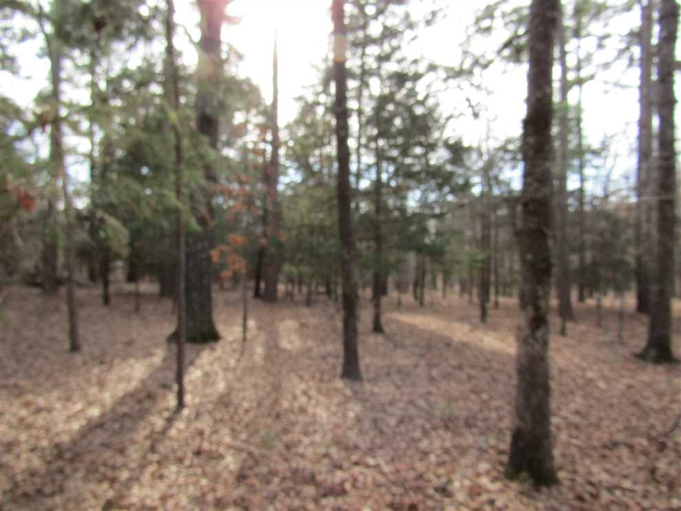 35 Acres of Recreational land for sale in Antlers, pushmataha County, Oklahoma