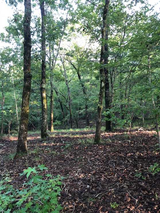 Beautiful wooded lot with open house site Real estate listing