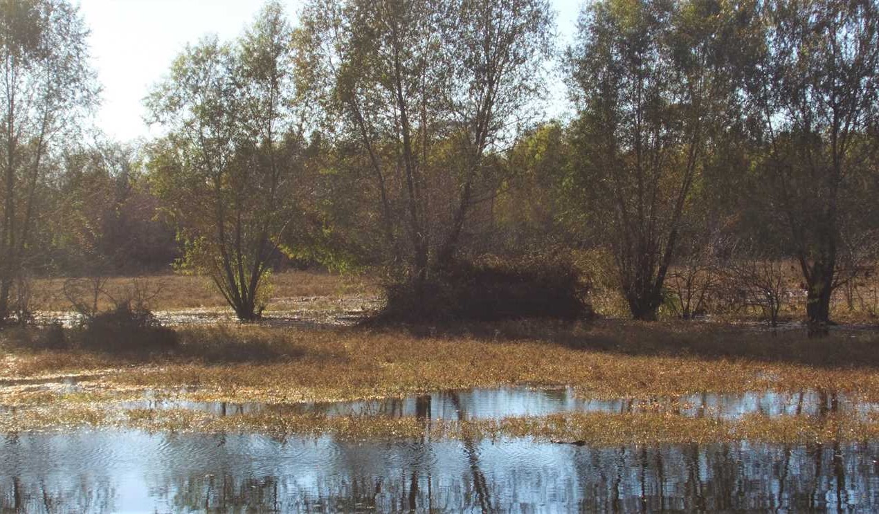 Land for sale at
