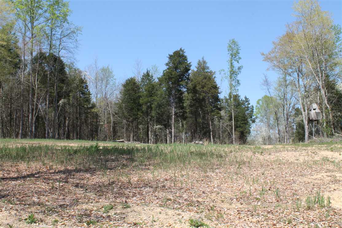 42.5 Acres of Land for sale in macon County, Tennessee