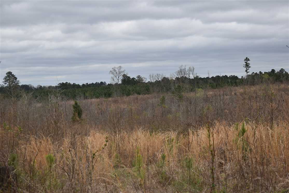 80 Acres of Recreational land for sale in Blevins, hempstead County, Arkansas