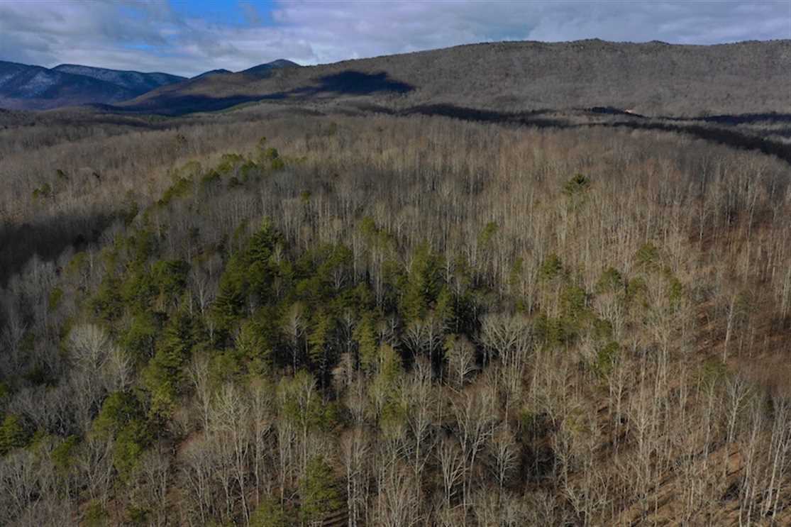 Timberland real estate available to buy