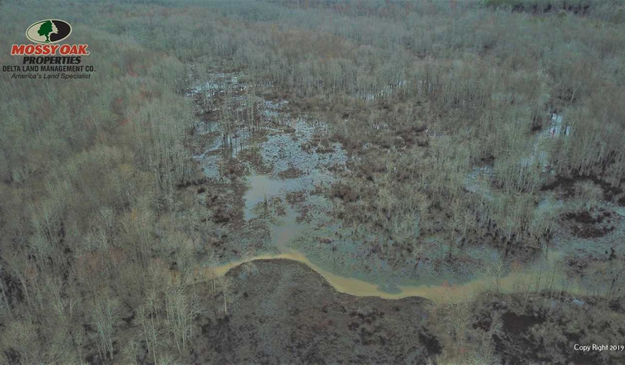 saline County, Arkansas property for sale