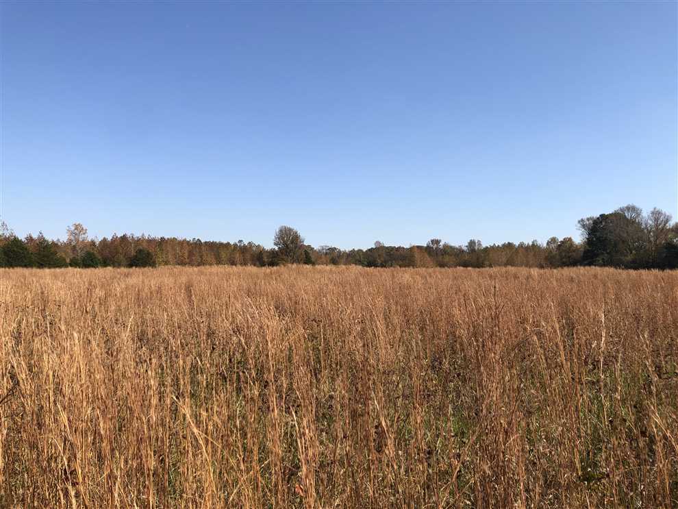 271.96+/- Prime Acres in Center Hill (west of Searcy, AR) along Hwy 36 and Hwy 305 Real estate listing