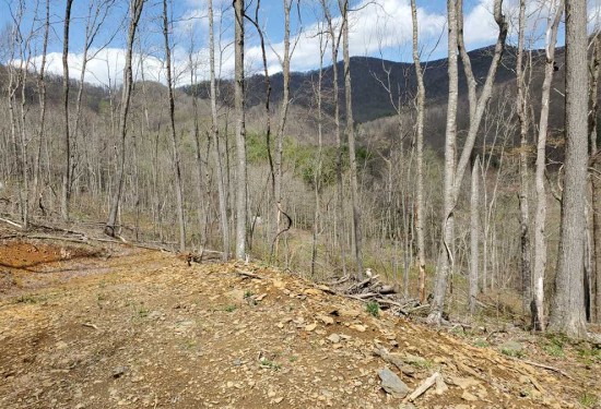 17.26 Acres of Land for Sale in ashe County North Carolina