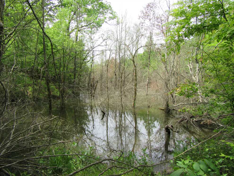 Jones Lake Real estate listing