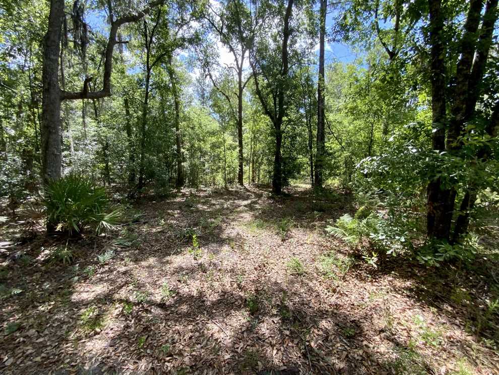 42.09 Acres of Land for sale in madison County, Florida