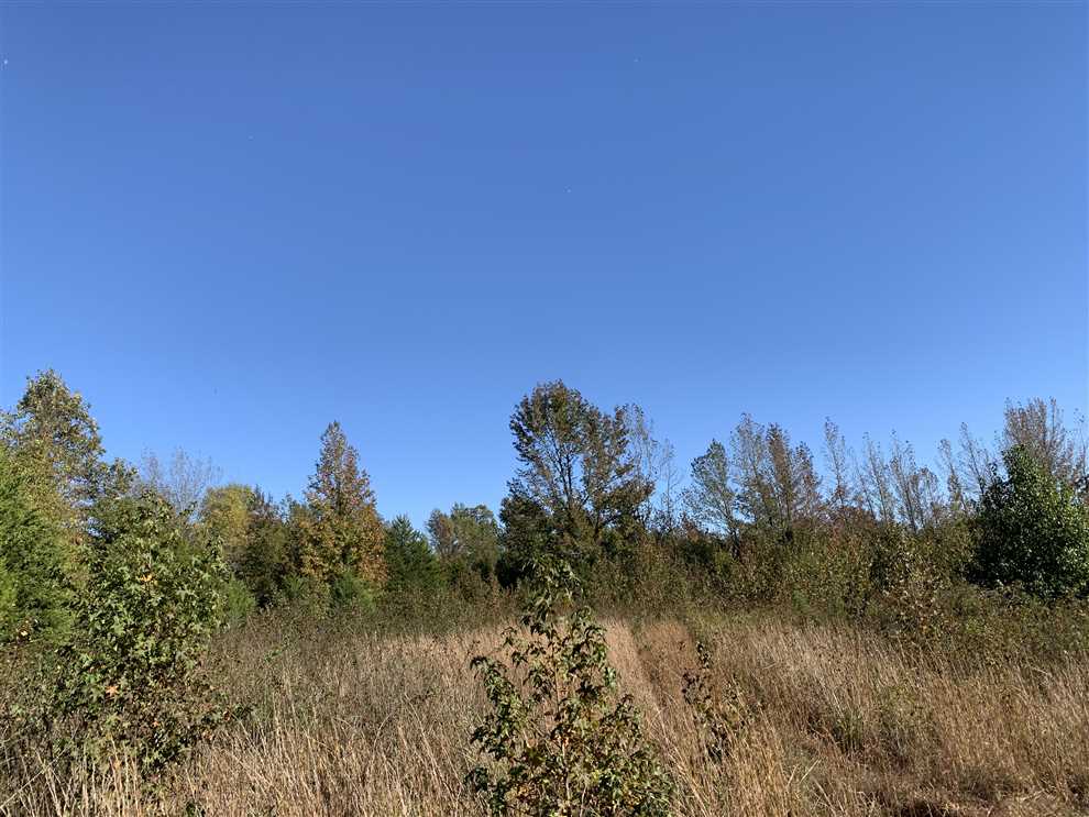 77+- acres Pleasant Plains Coon Creek Property Real estate listing