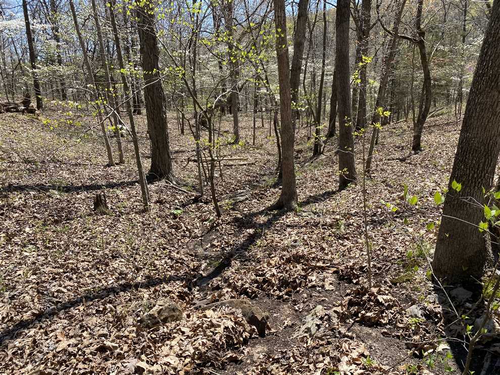 Houses and land for sale in Missouri
