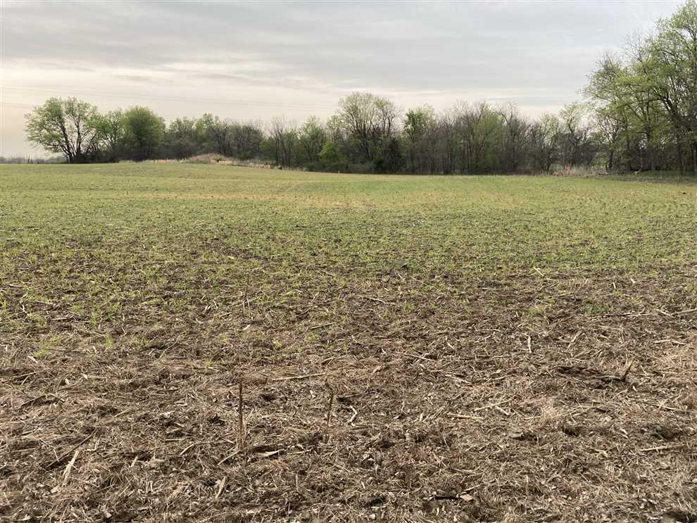 property for sale on The Land Market