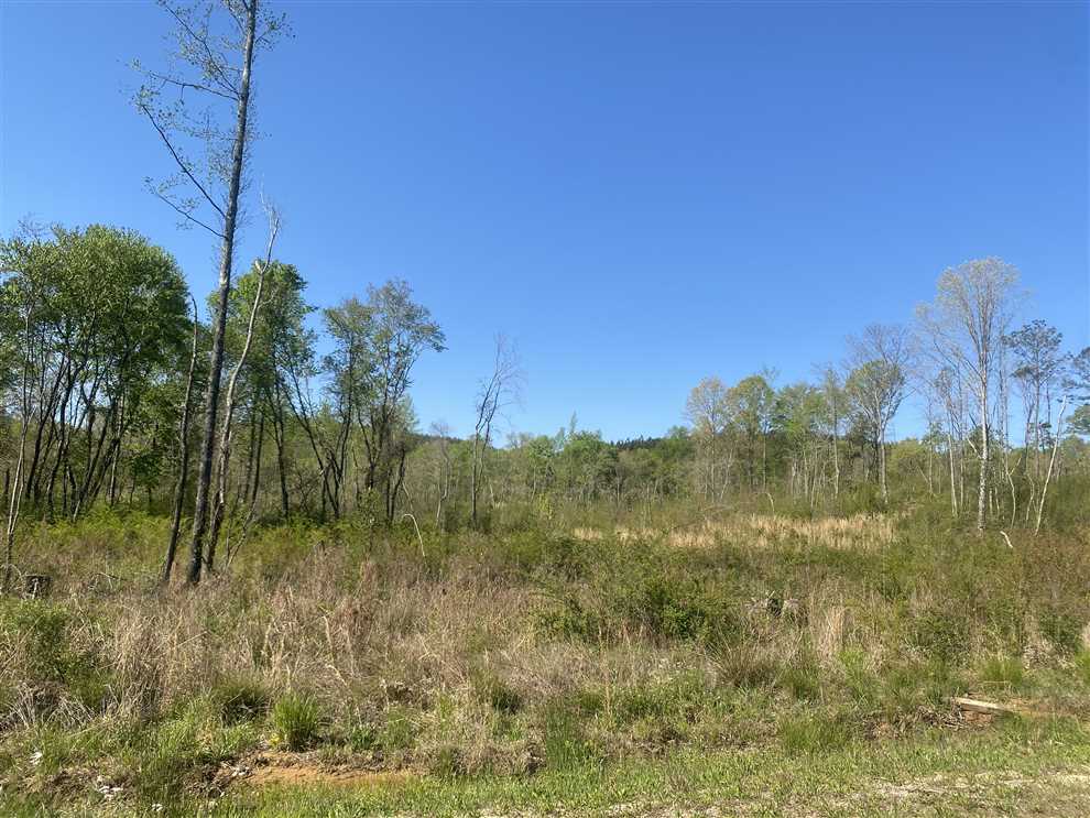 marion County, Alabama property for sale