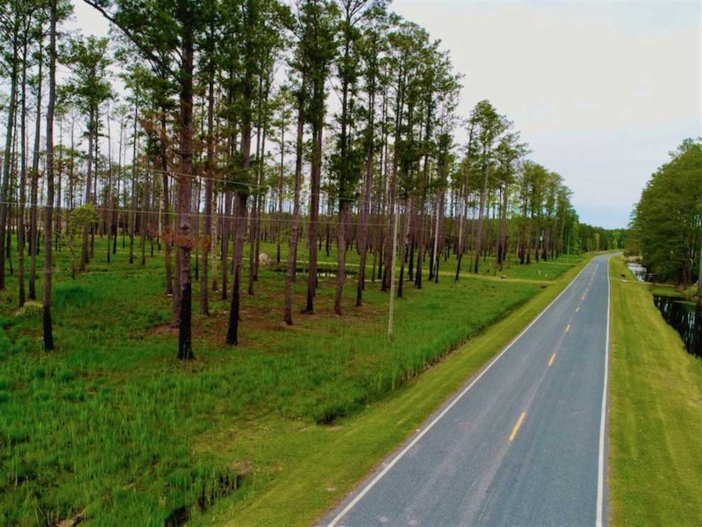 Land for sale to buy in 27875 zip code