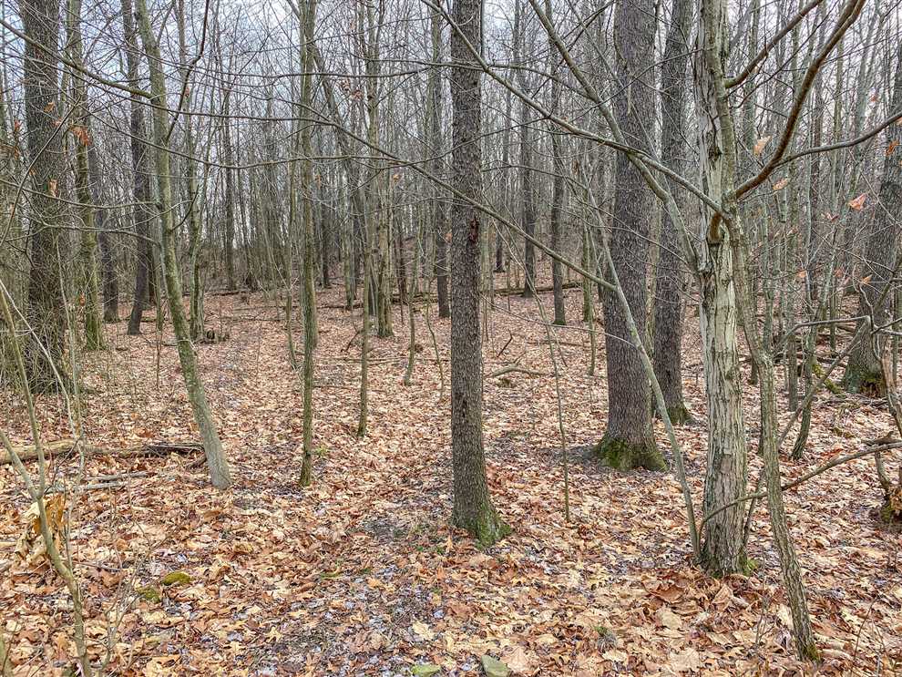 Houses and land for sale in Pennsylvania