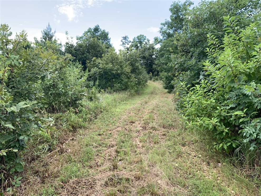 Land for sale at