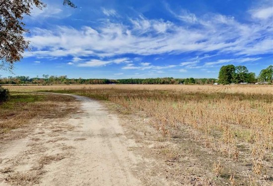 162.49 Acres of Land for Sale in craven County North Carolina