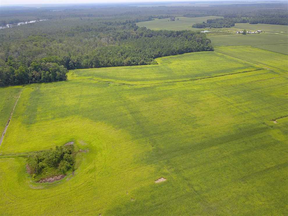 Farmland real estate available to buy