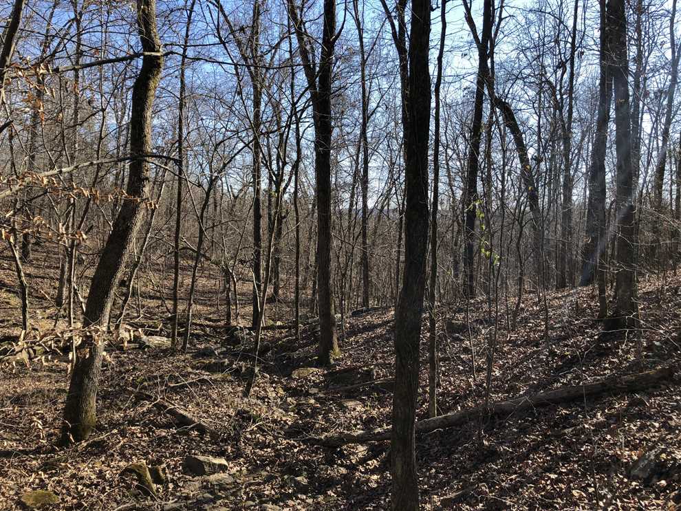 15.74 Acres of Residential land for sale in Edgemont, cleburne County, Arkansas