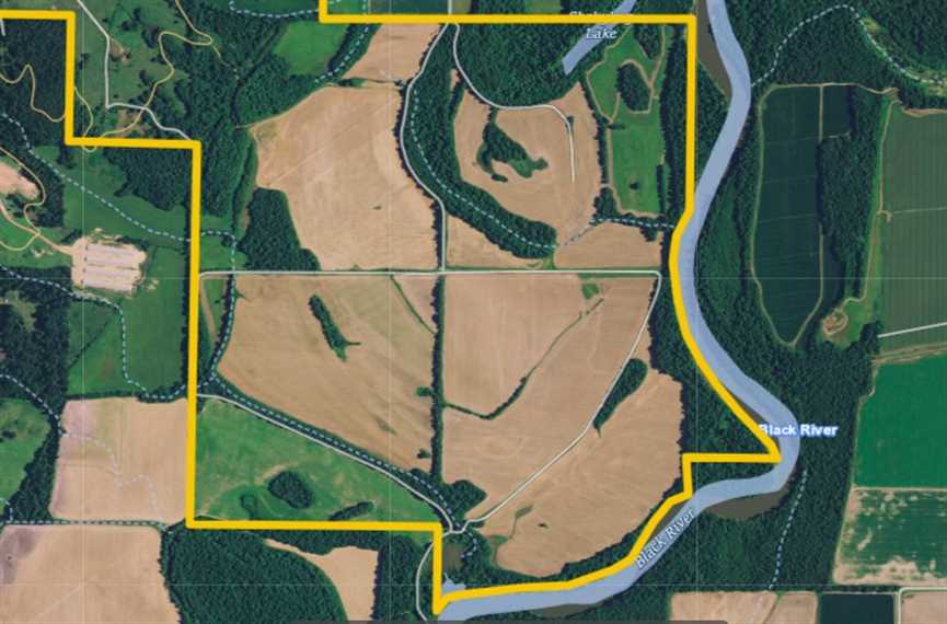 PRICE REDUCED on 952.11+/- Acres of Income-Producing Premier Row Crop, Pasture Land, and World-Class Hunting with approximately 7000 feet of Black River Frontage in Randolph County, Arkansas Real estate listing