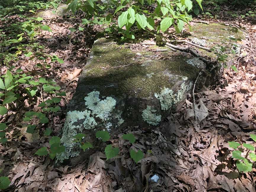 4.84 Acres of Land for sale in cleburne County, Arkansas