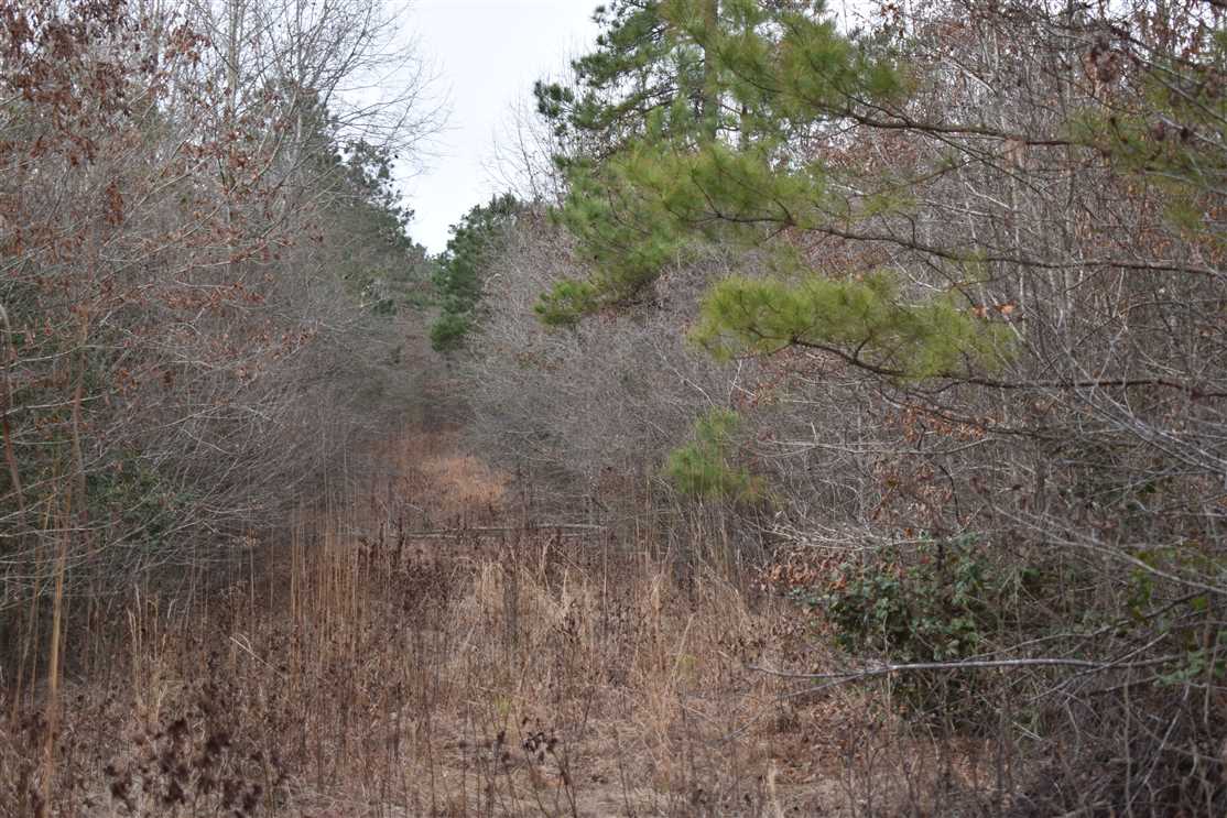 Recreational real estate available to buy