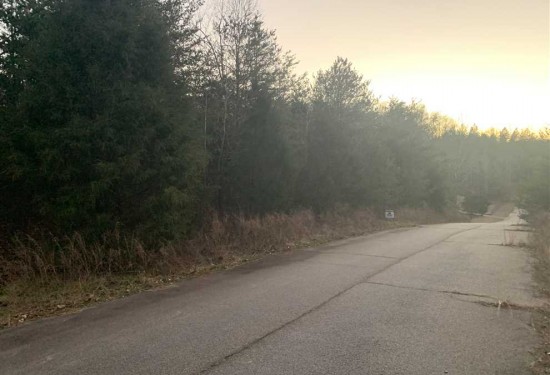33 Acres of Land for Sale in davidson County North Carolina