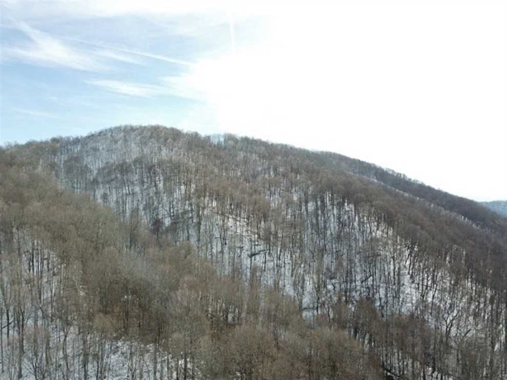 73 Acres of Land for sale in tazewell County, Virginia