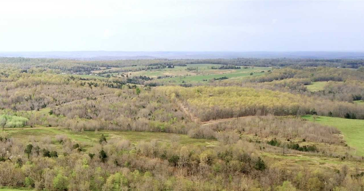 Timberland real estate available to buy