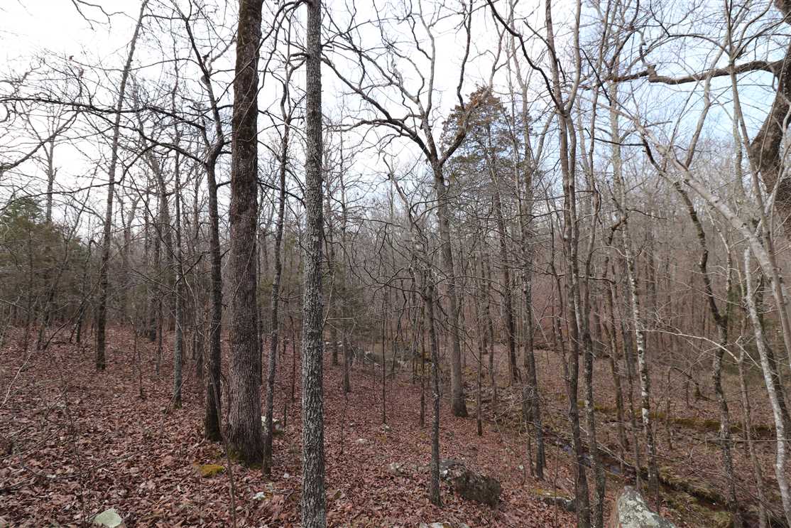 43 +/- Acres just Outside Sherwood-Pulaski County Real estate listing