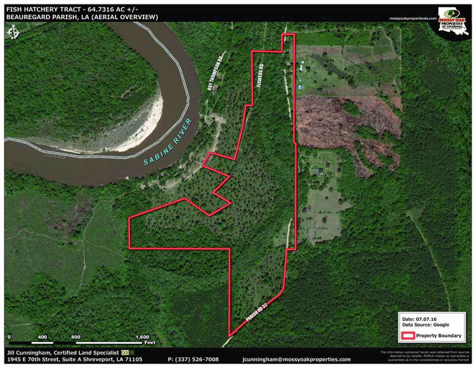 65.09 Acres of Land for sale in beauregard County, Louisiana
