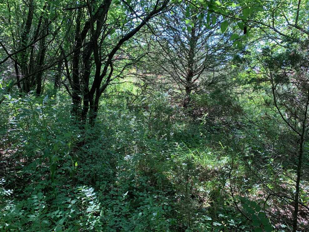 Land for sale at