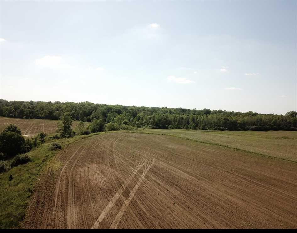 Home With 260 Acres In Clay County, Indiana Real estate listing