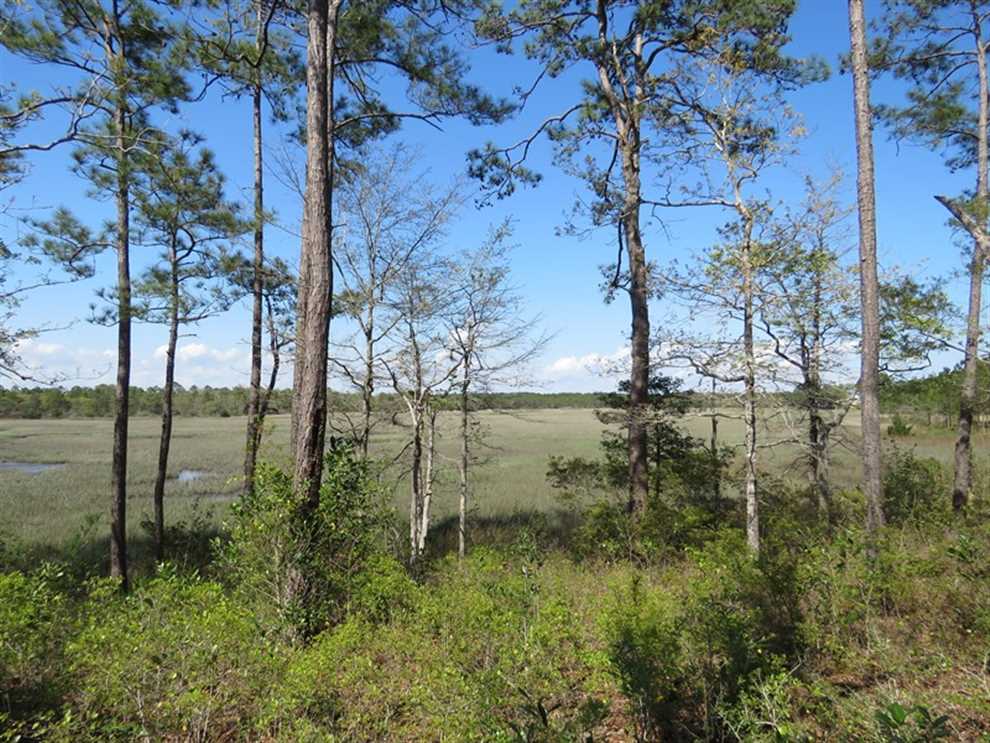0.46 Acres of Residential land for sale in Supply, brunswick County, North Carolina