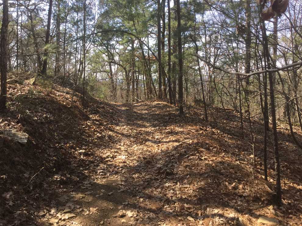 1937 Acres of Residential land for sale in hartford, sebastian County, Arkansas