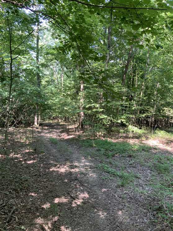 Houses and land for sale in Tennessee