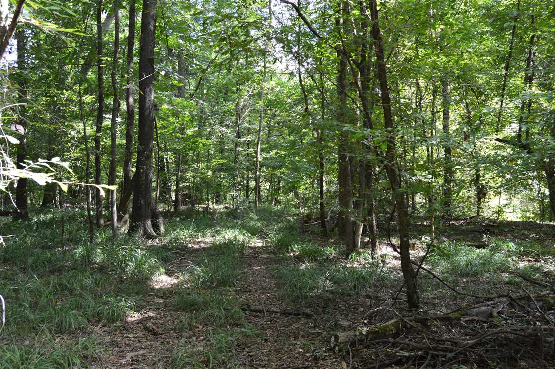 270 Acres of Recreational land for sale in Monticello, lawrence County, Mississippi