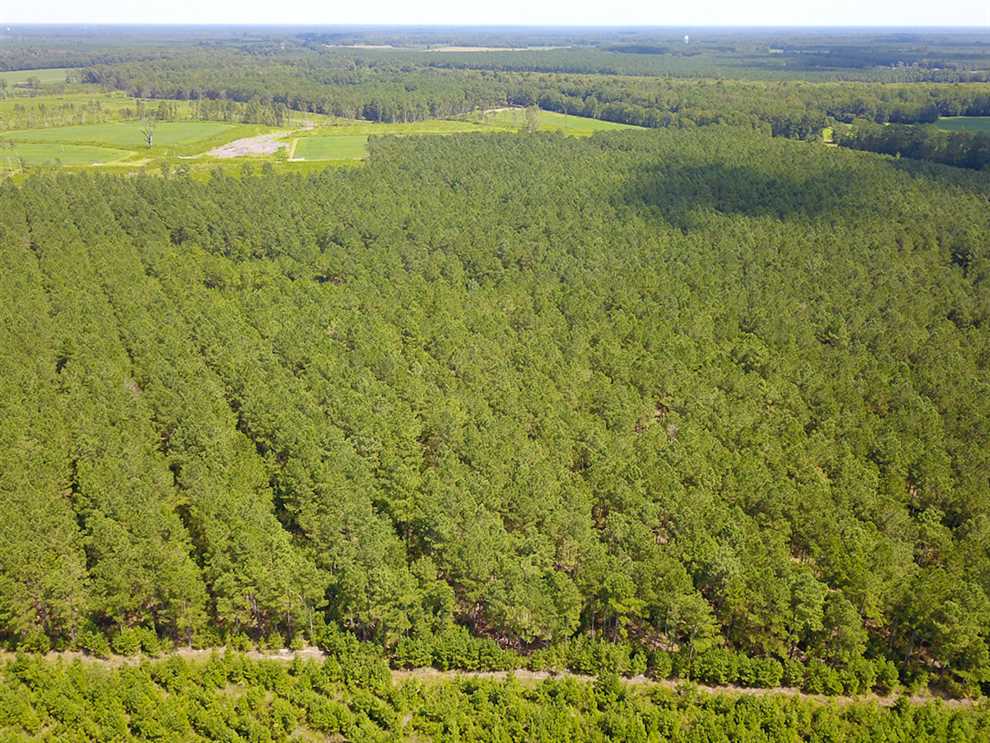 Recreational and   property for sale on The Land Market