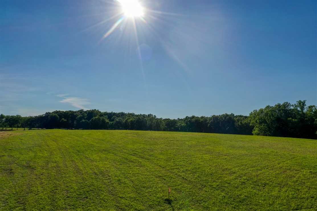 32.9 Acres of Residential land for sale in Franklin, williamson County, Tennessee
