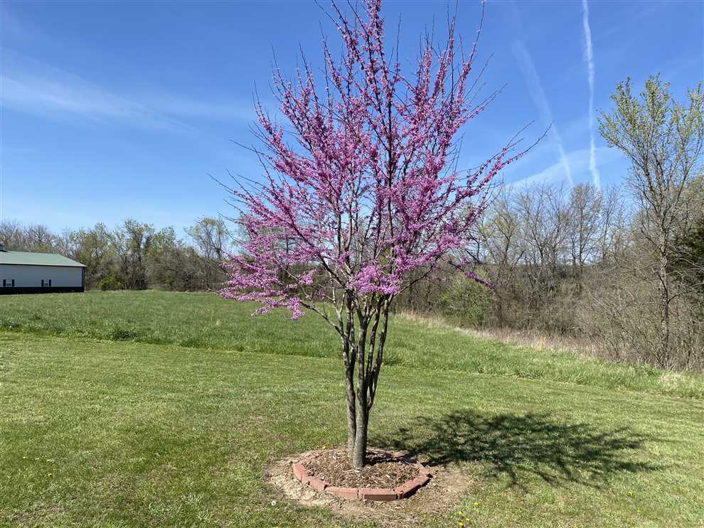 property for sale on The Land Market