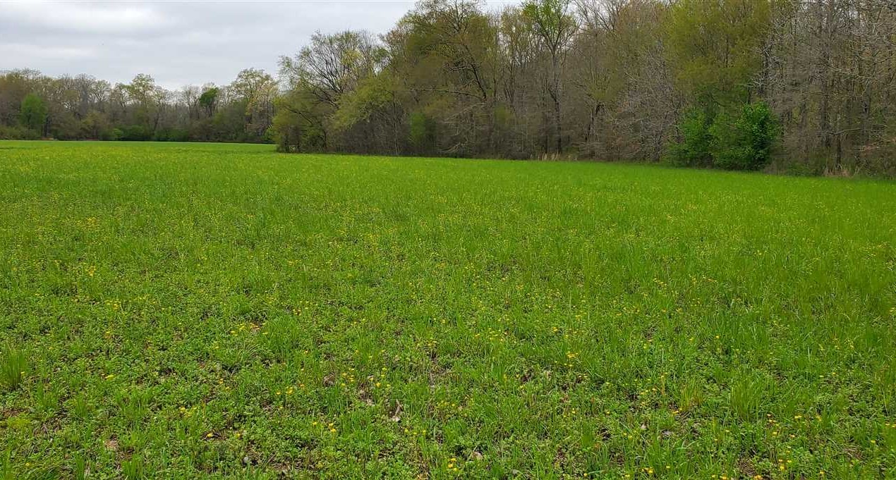 Land for sale to buy in 72102 zip code