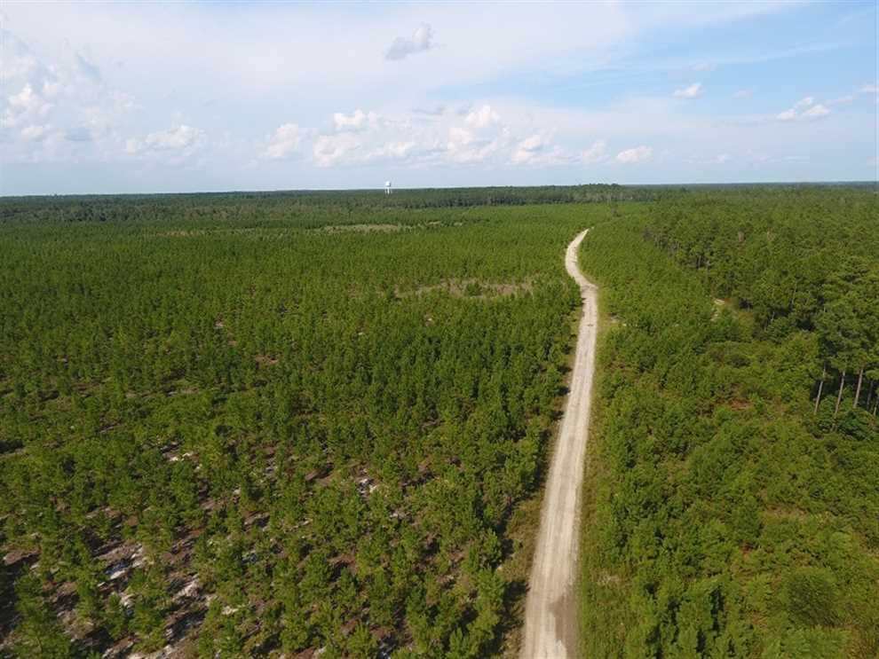 bladen County, North Carolina property for sale