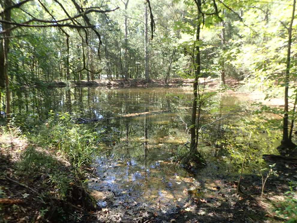 23.63 Acres of Land for sale in oktibbeha County, Mississippi